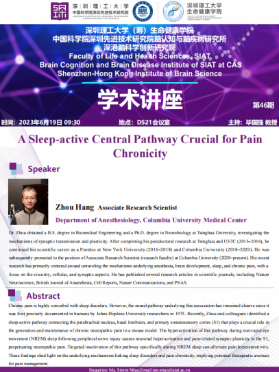A Sleep-active Central Pathway Crucial for Pain Chronicity